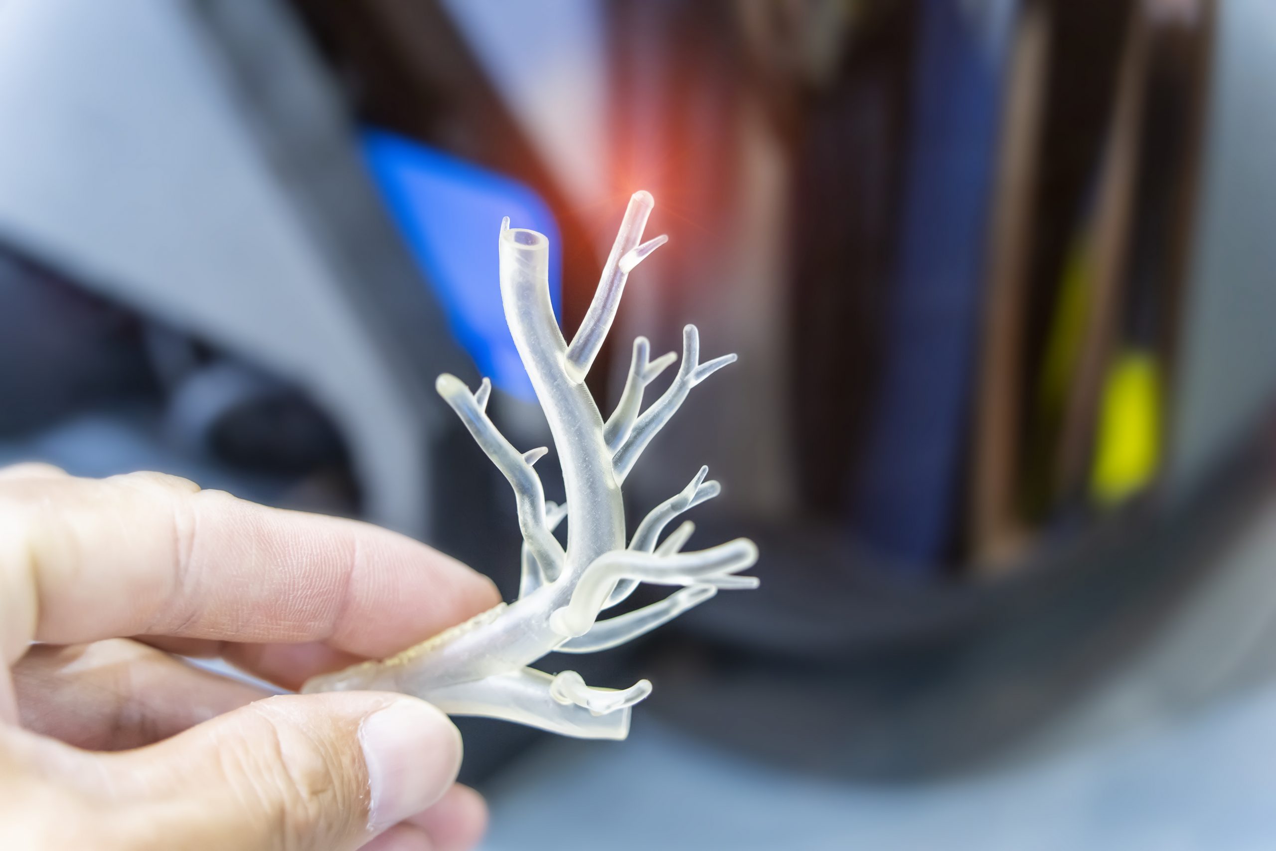 man holding object in shape of medically accurate a human blood vessel printed on 3d printer